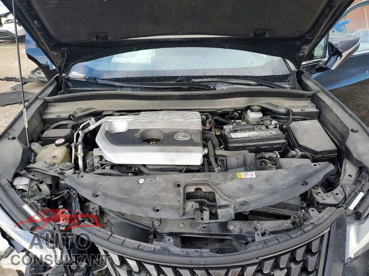 LEXUS UNKNOWN 2019 - JTHY3JBH0K2019432