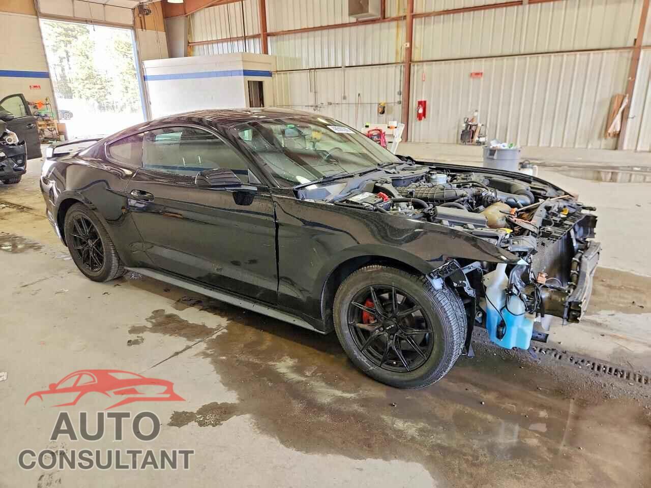 FORD MUSTANG 2017 - 1FA6P8AM8H5319656
