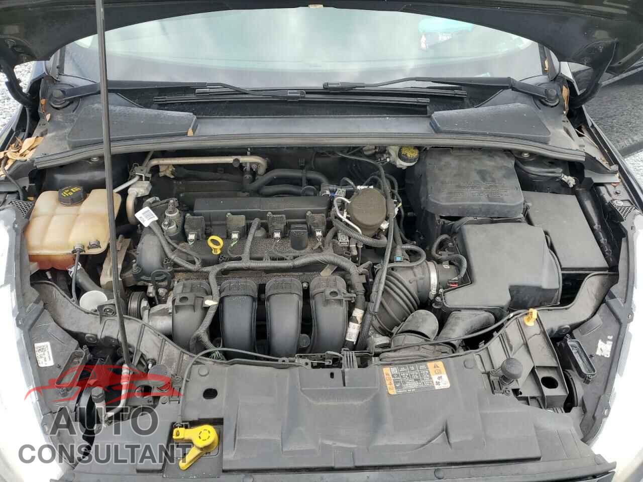 FORD FOCUS 2016 - 1FADP3E20GL304503