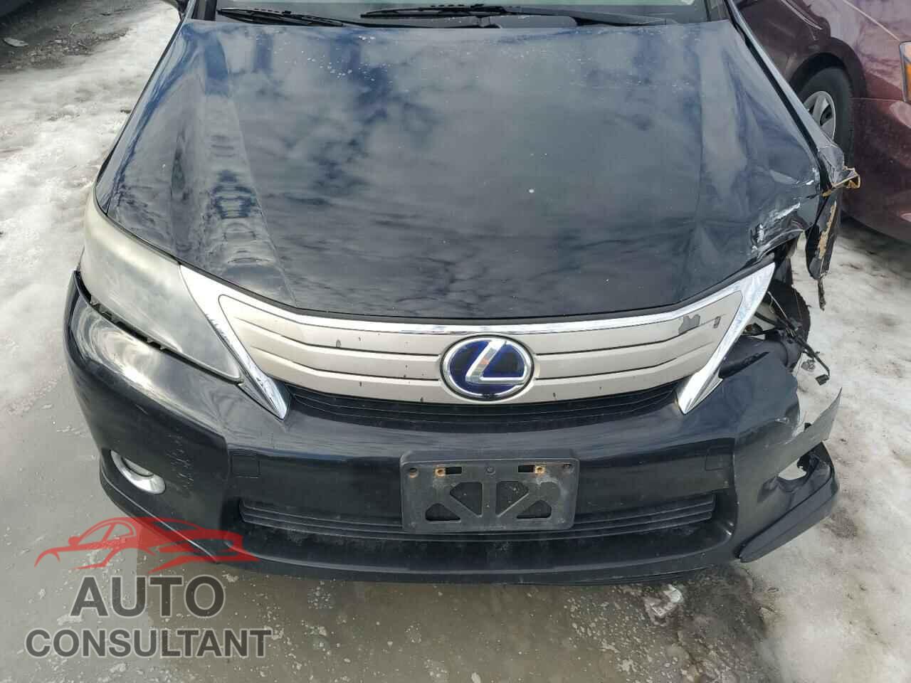 LEXUS HS 2010 - JTHBB1BA8A2021133