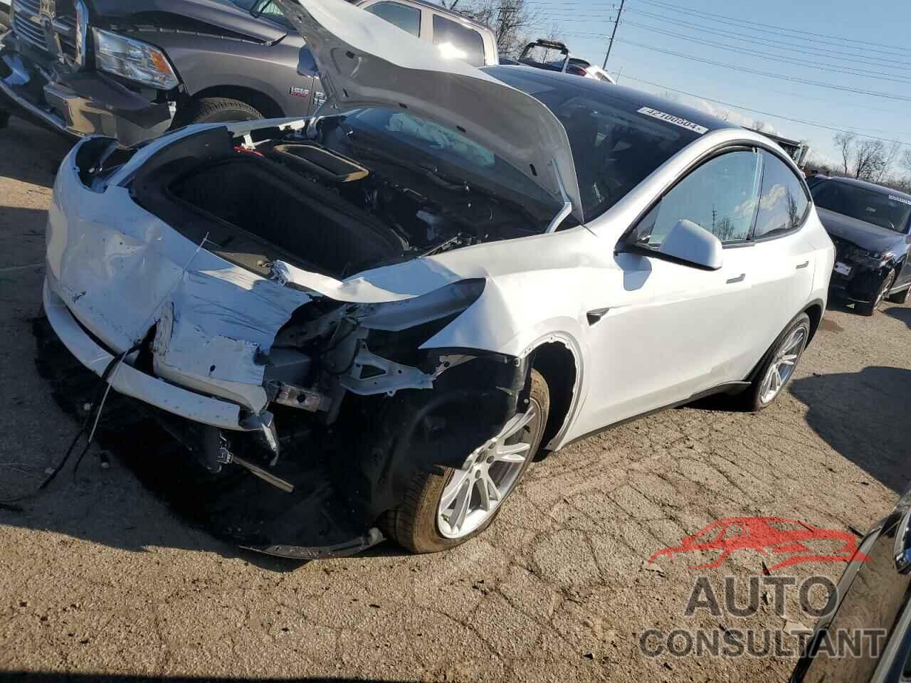 TESLA MODEL Y 2020 - 5YJYGDEE5LF037013