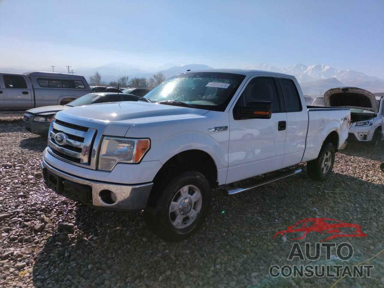 FORD F-150 2010 - 1FTFX1EV8AKB58706