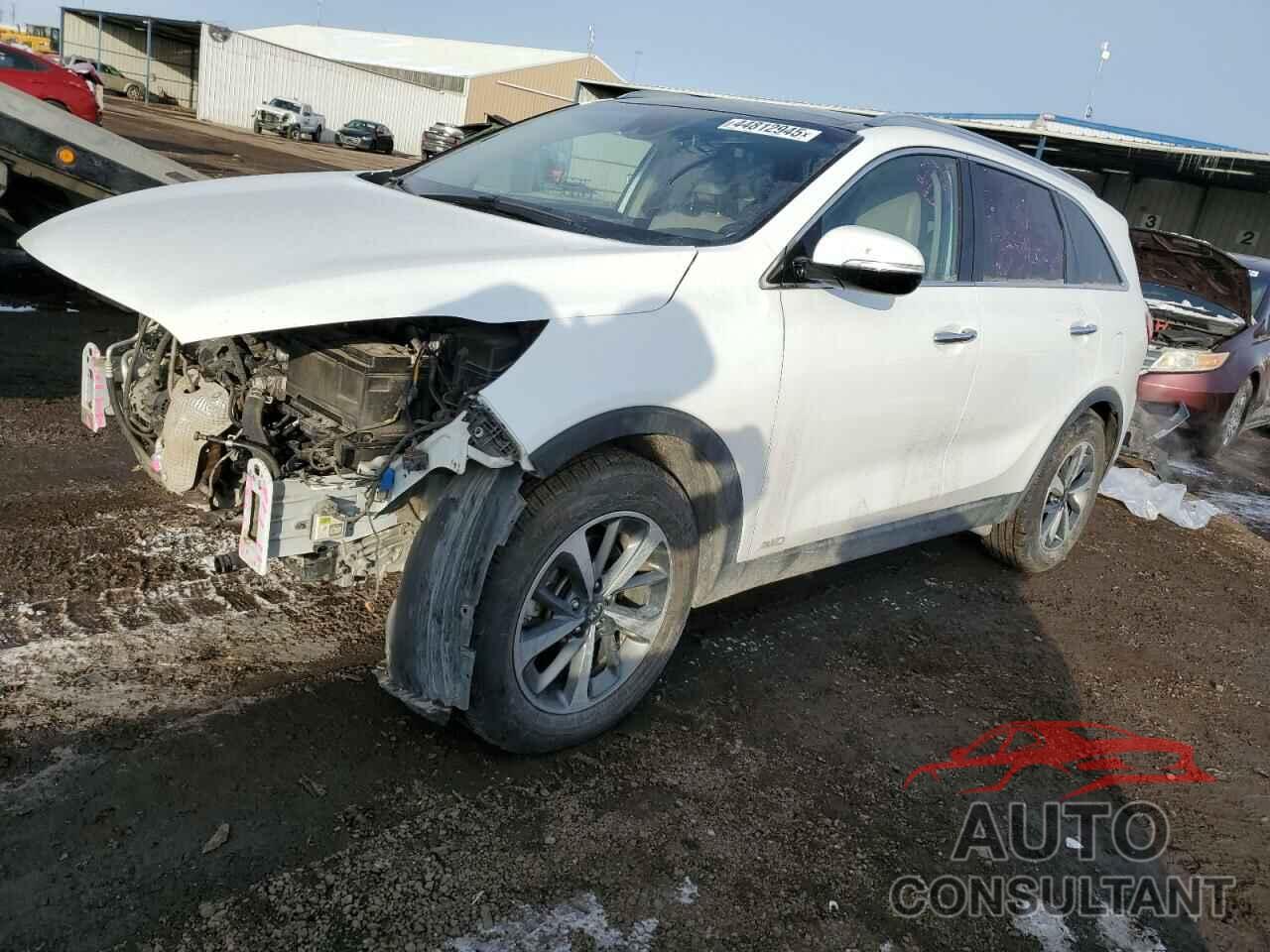 KIA SORENTO 2019 - 5XYPHDA52KG445622
