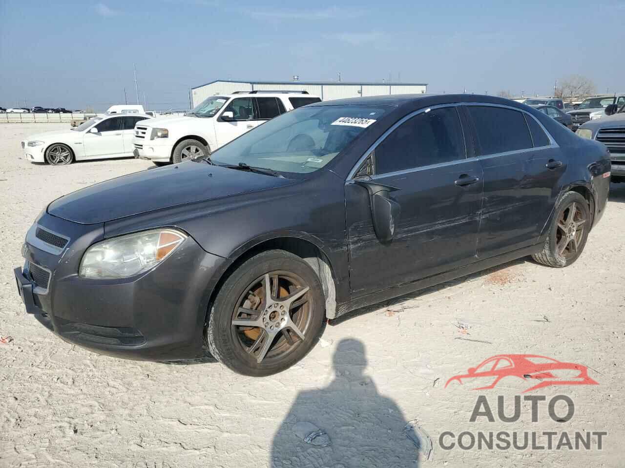 CHEVROLET MALIBU 2011 - 1G1ZA5EU4BF312182