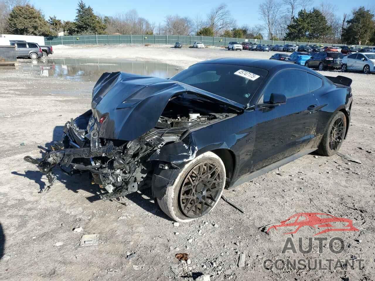 FORD MUSTANG 2019 - 1FA6P8CF4K5166246