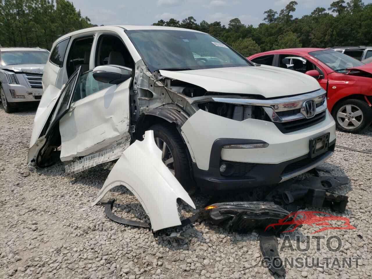 HONDA PILOT 2019 - 5FNYF5H55KB022529