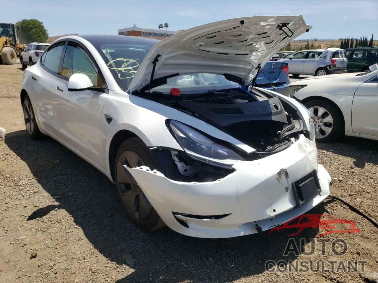 TESLA MODEL 3 2021 - 5YJ3E1EA1MF071088
