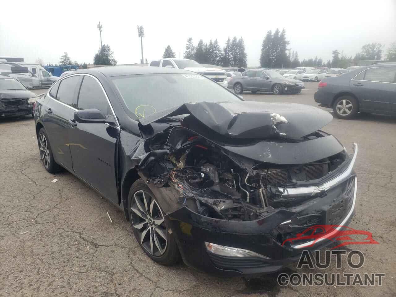 CHEVROLET MALIBU 2020 - 1G1ZG5ST1LF025054