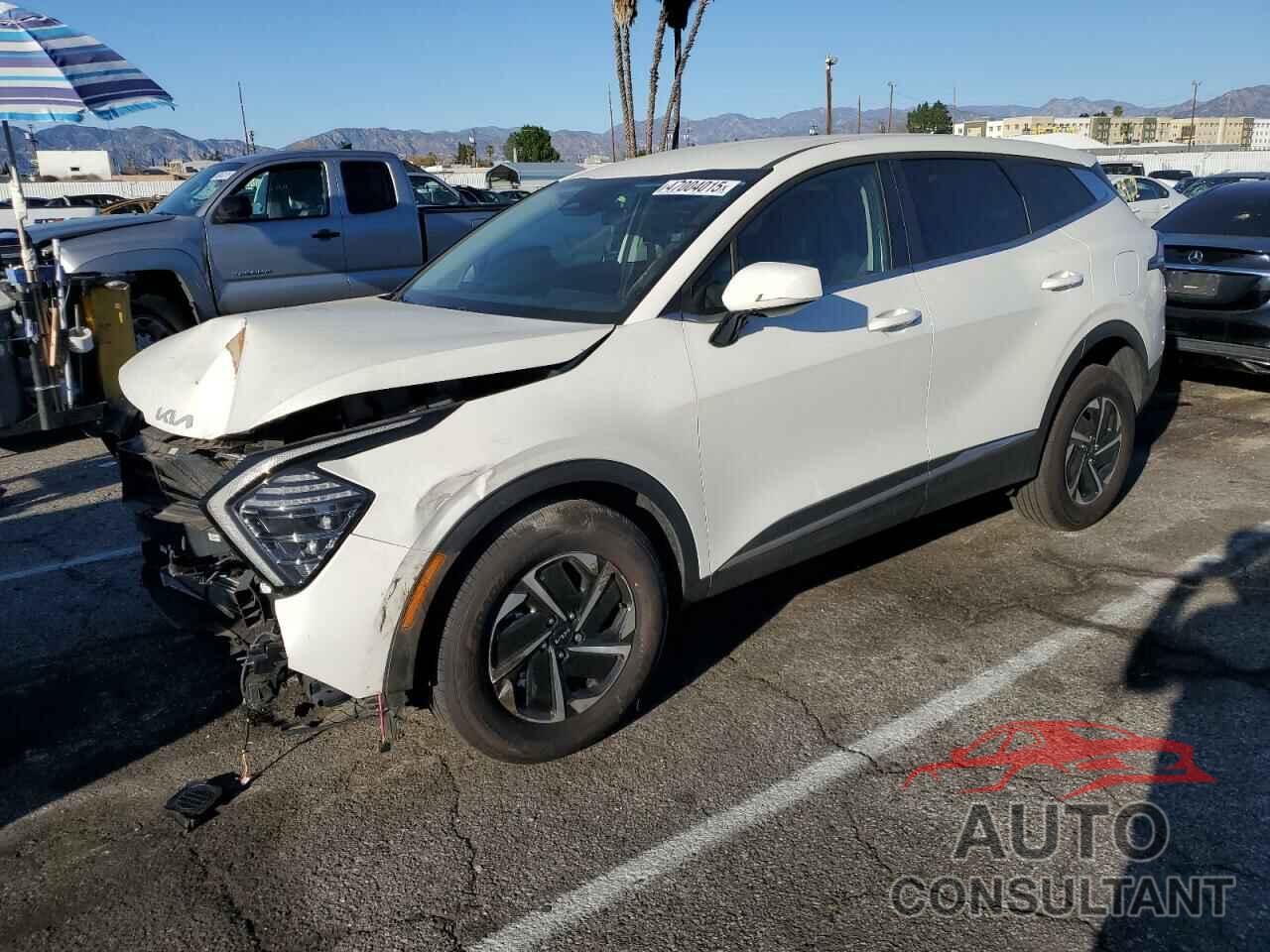 KIA SPORTAGE 2024 - KNDPUCDG0R7136483