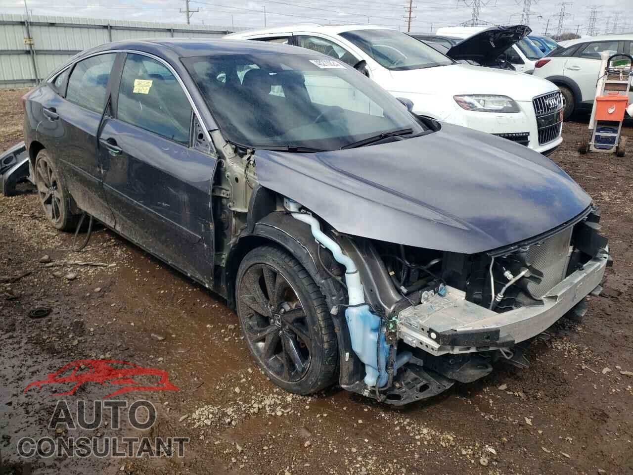 HONDA CIVIC 2019 - 2HGFC2F86KH565590