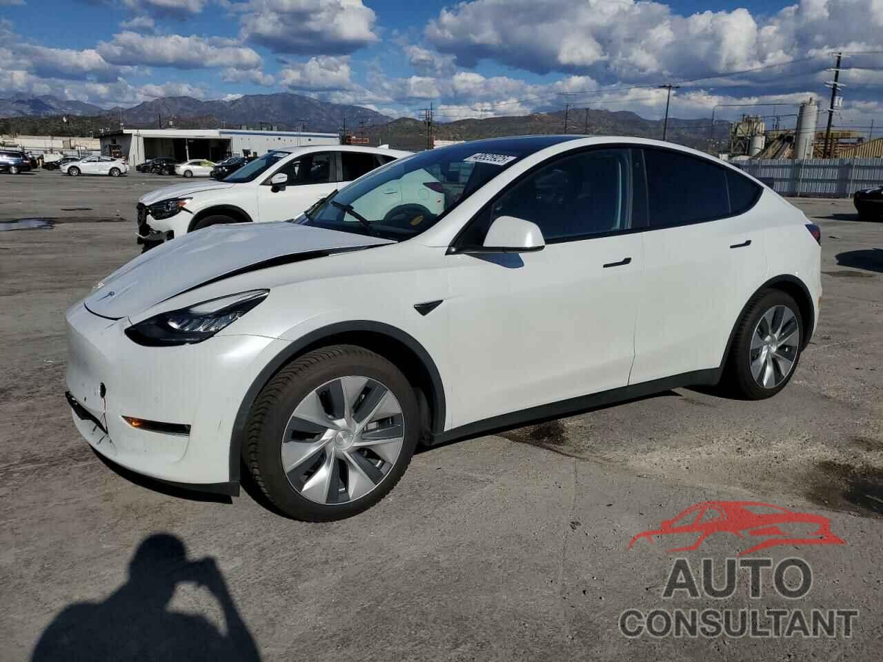 TESLA MODEL Y 2020 - 5YJYGDEEXLF054521