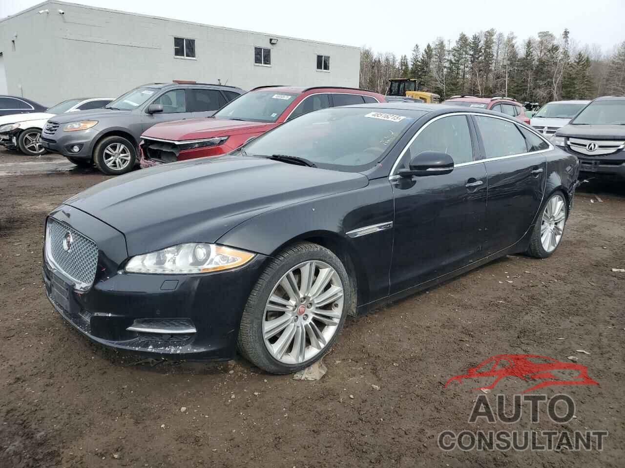 JAGUAR XJ 2015 - SAJXJ2GD3F8V84292