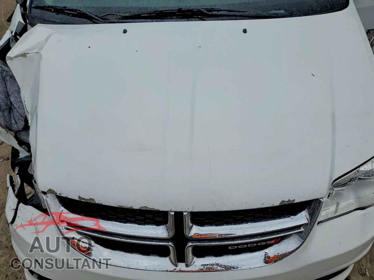 DODGE CARAVAN 2019 - 2C4RDGBG3KR573286