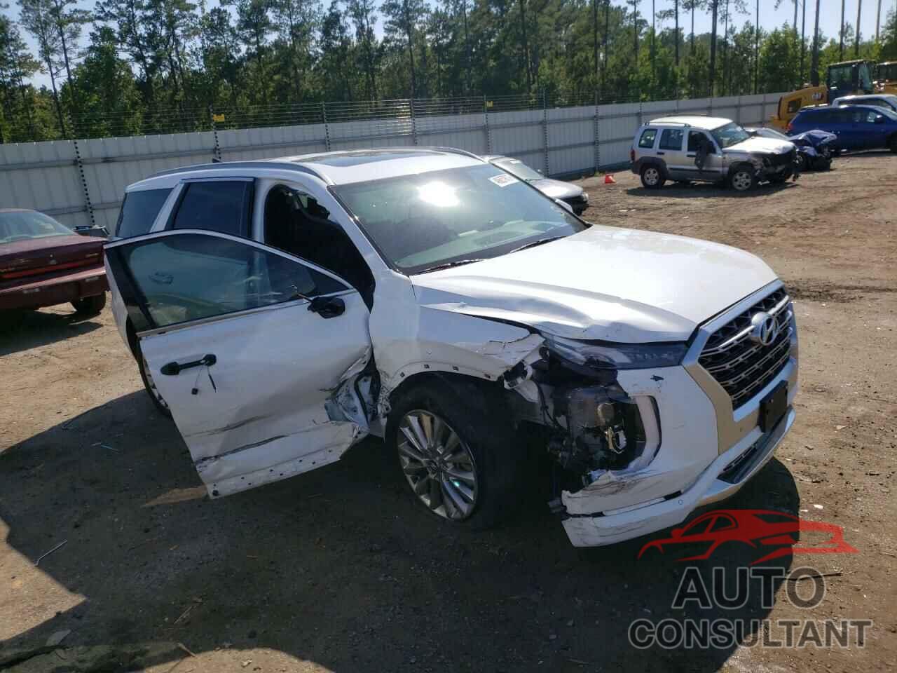 HYUNDAI PALISADE 2020 - KM8R5DHE3LU033275