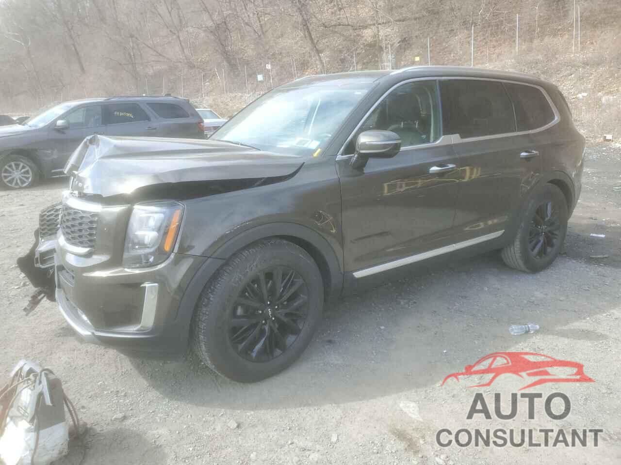 KIA TELLURIDE 2022 - 5XYP5DHC8NG199354