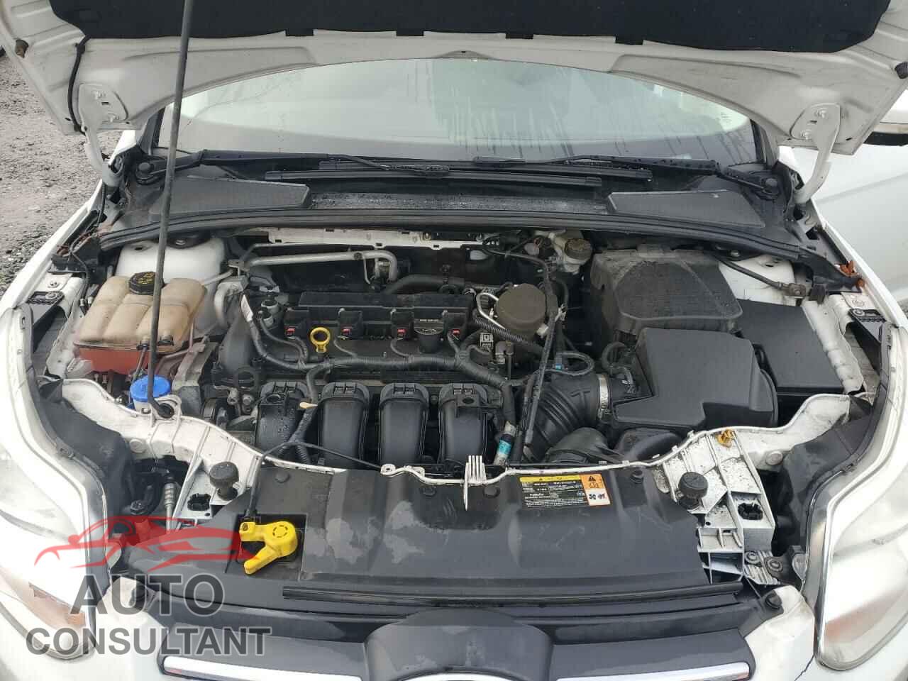 FORD FOCUS 2014 - 1FADP3K20EL124021