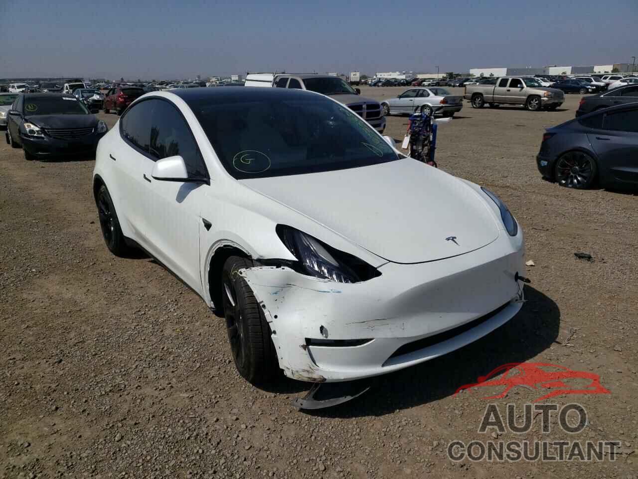 TESLA MODEL Y 2021 - 5YJYGDEE5MF157525
