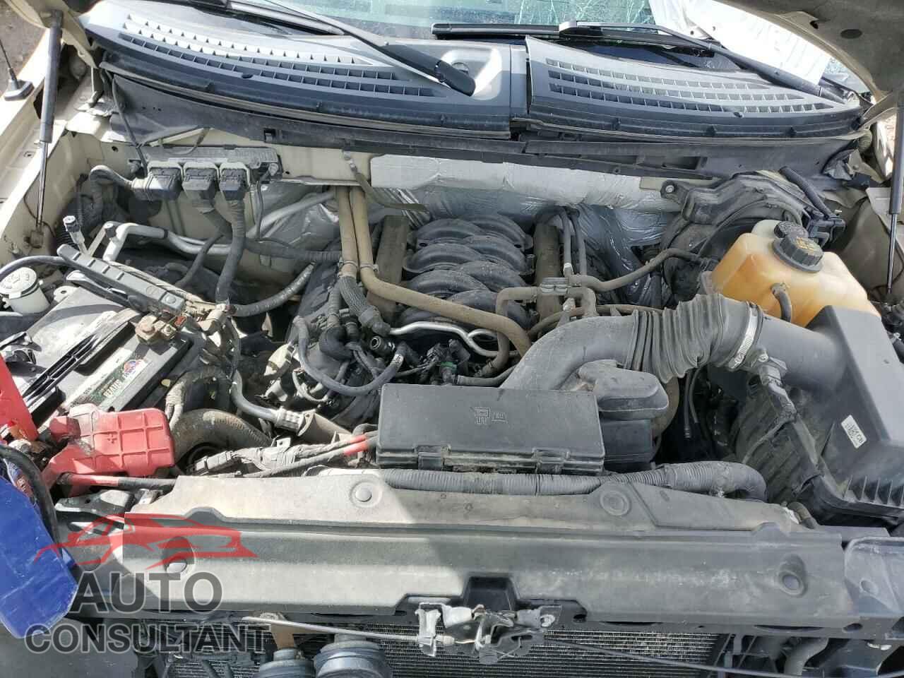 FORD F-150 2013 - 1FTFW1EF7DFD54791