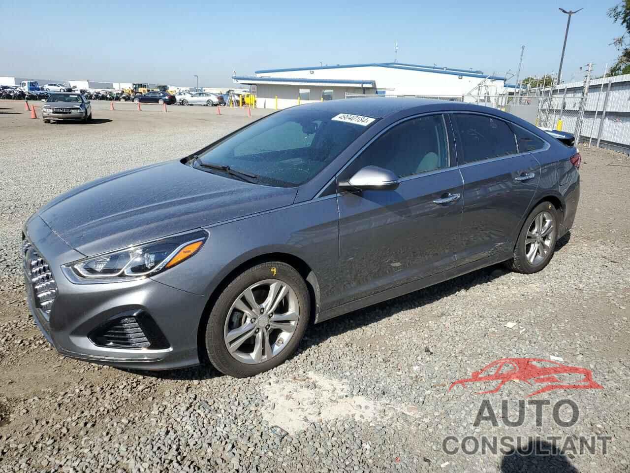 HYUNDAI SONATA 2019 - 5NPE34AF3KH775163
