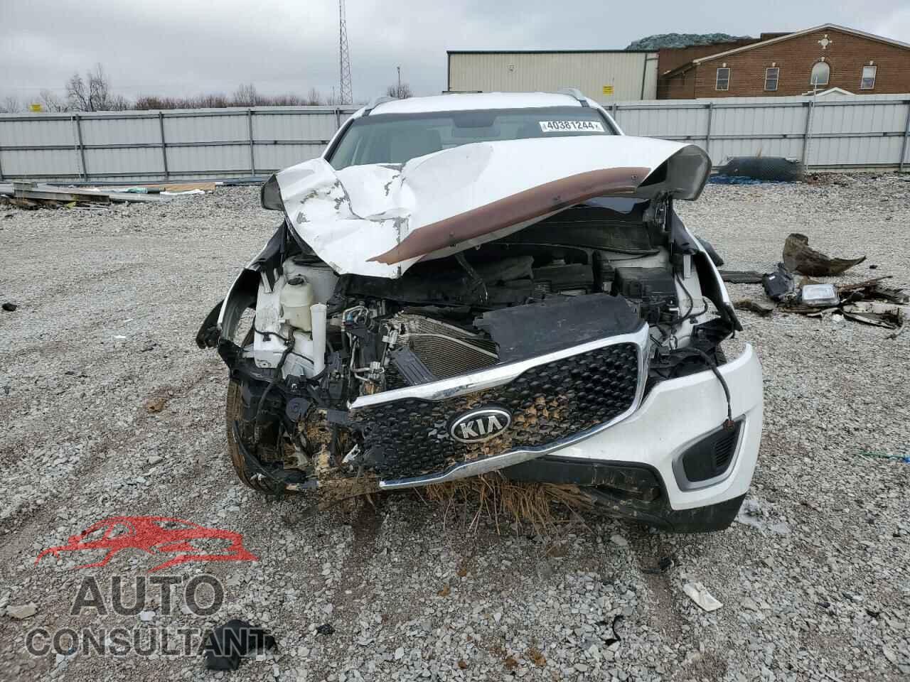KIA SORENTO 2017 - 5XYPGDA38HG248772