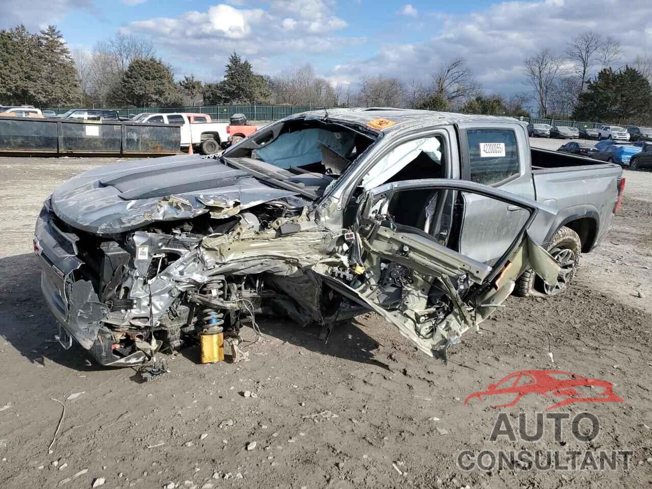 CHEVROLET COLORADO 2024 - 1GCPTFEK3R1227497