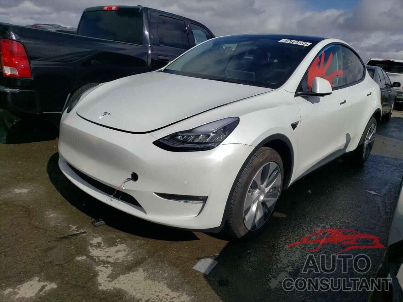 TESLA MODEL Y 2022 - 7SAYGDEE2NF449802