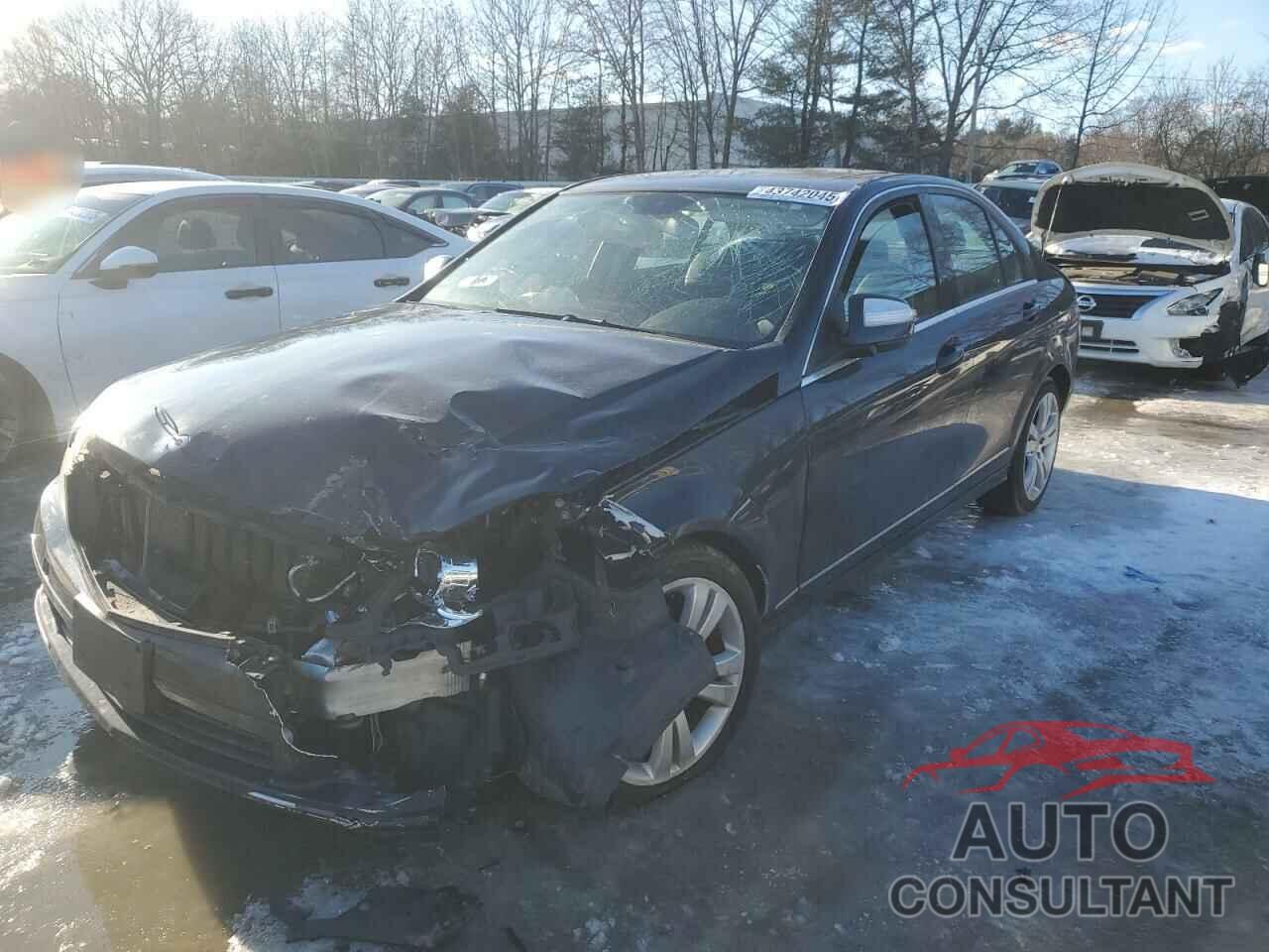 MERCEDES-BENZ C-CLASS 2009 - WDDGF81X19F206824