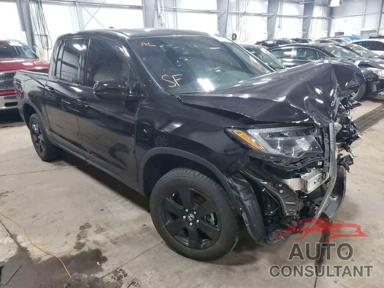 HONDA RIDGELINE 2019 - 5FPYK3F82KB029989