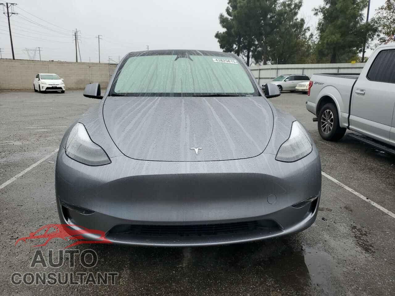 TESLA MODEL Y 2024 - 7SAYGDEF3RA295659
