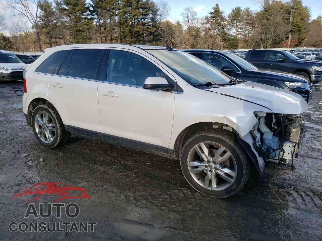 FORD EDGE 2014 - 2FMDK4KC2EBA88450