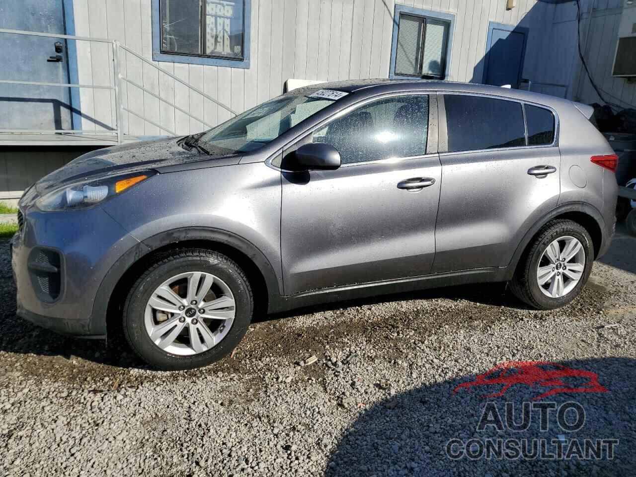 KIA SPORTAGE 2017 - KNDPM3AC3H7053078