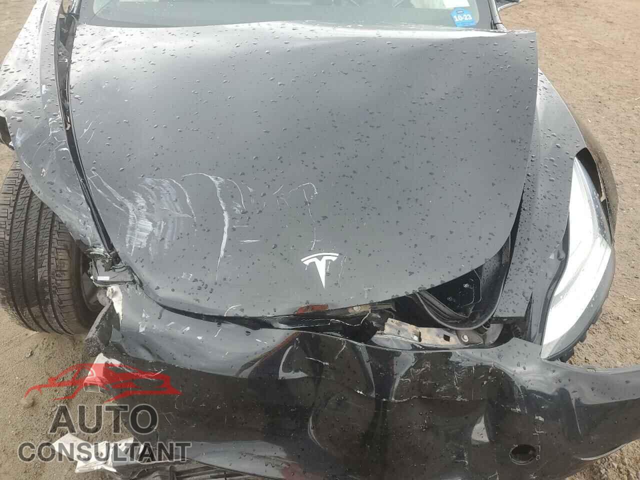TESLA MODEL 3 2019 - 5YJ3E1EB0KF208995