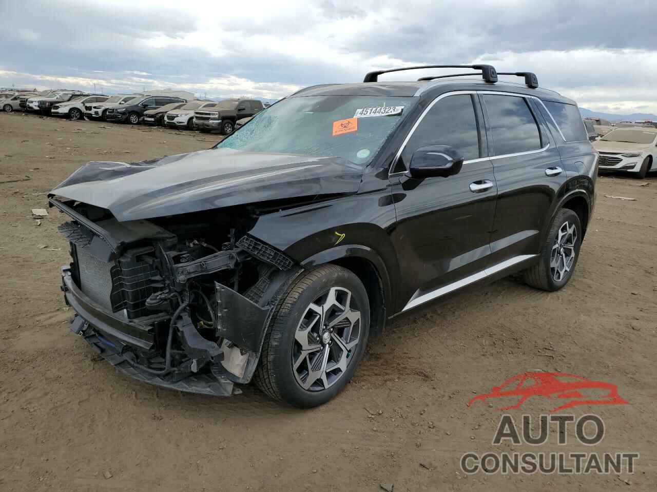 HYUNDAI PALISADE 2022 - KM8R7DHE8NU424595