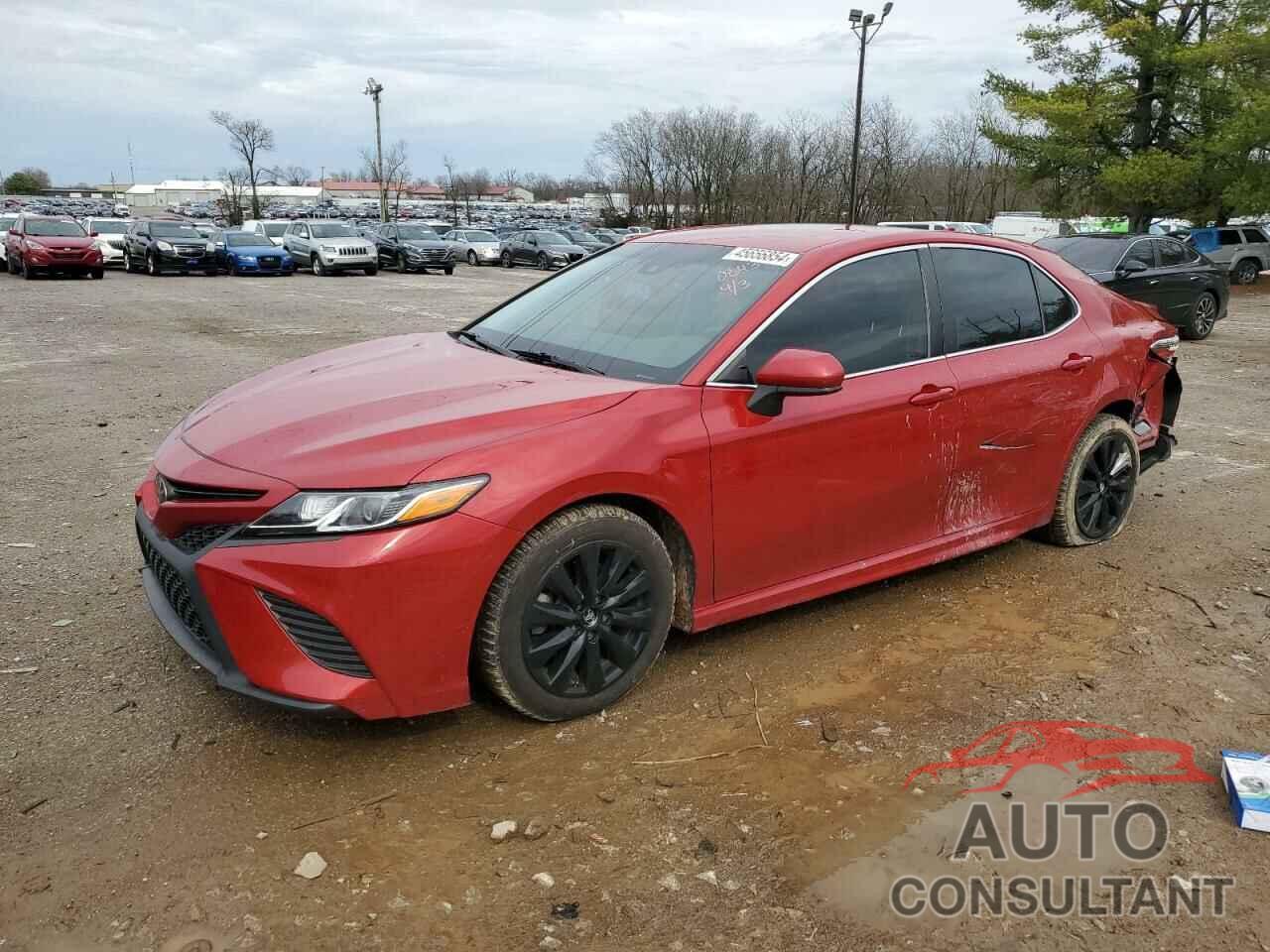 TOYOTA CAMRY 2019 - 4T1B11HK1KU210843