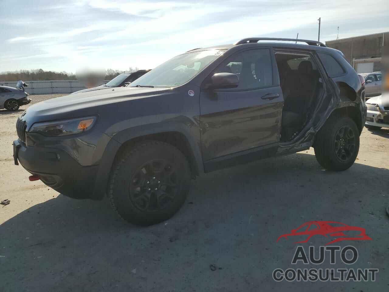 JEEP CHEROKEE 2019 - 1C4PJMBX9KD107539