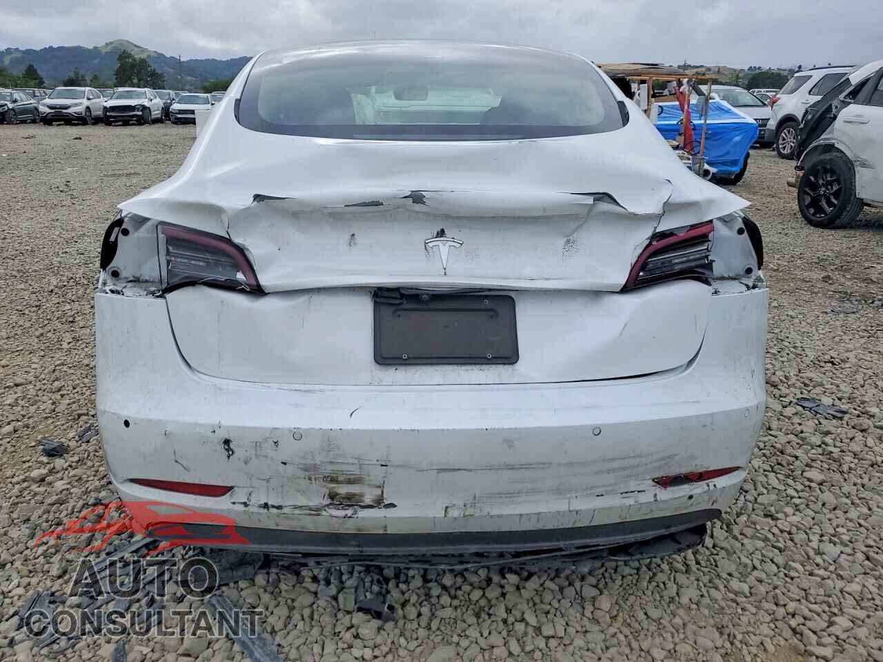 TESLA MODEL 3 2021 - 5YJ3E1EA2MF079345