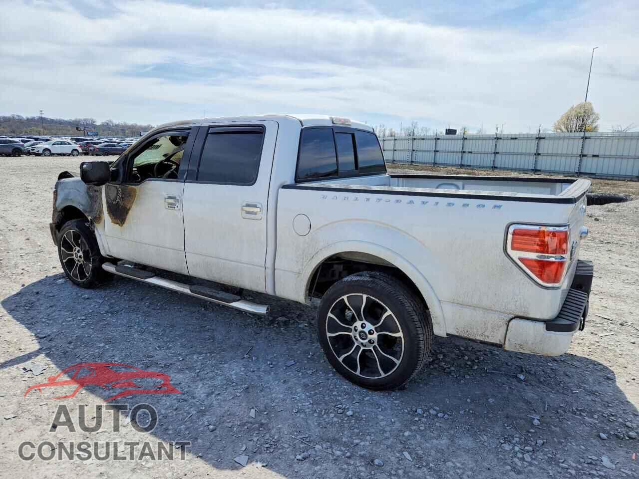 FORD F150 2012 - 1FTFW1E6XCFA93932