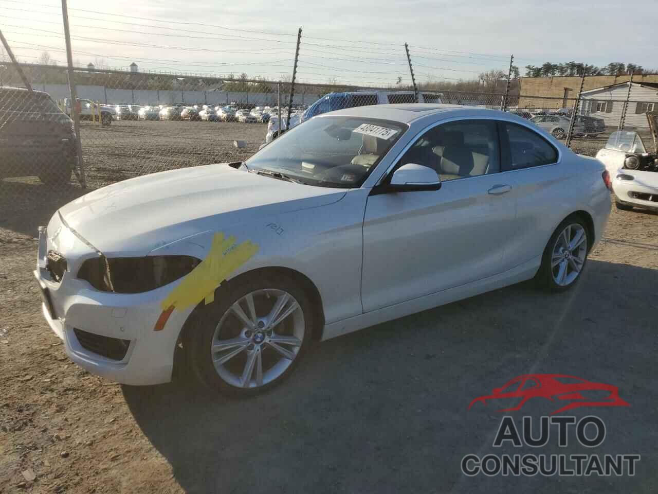 BMW 2 SERIES 2015 - WBA1F9C51FVW98724