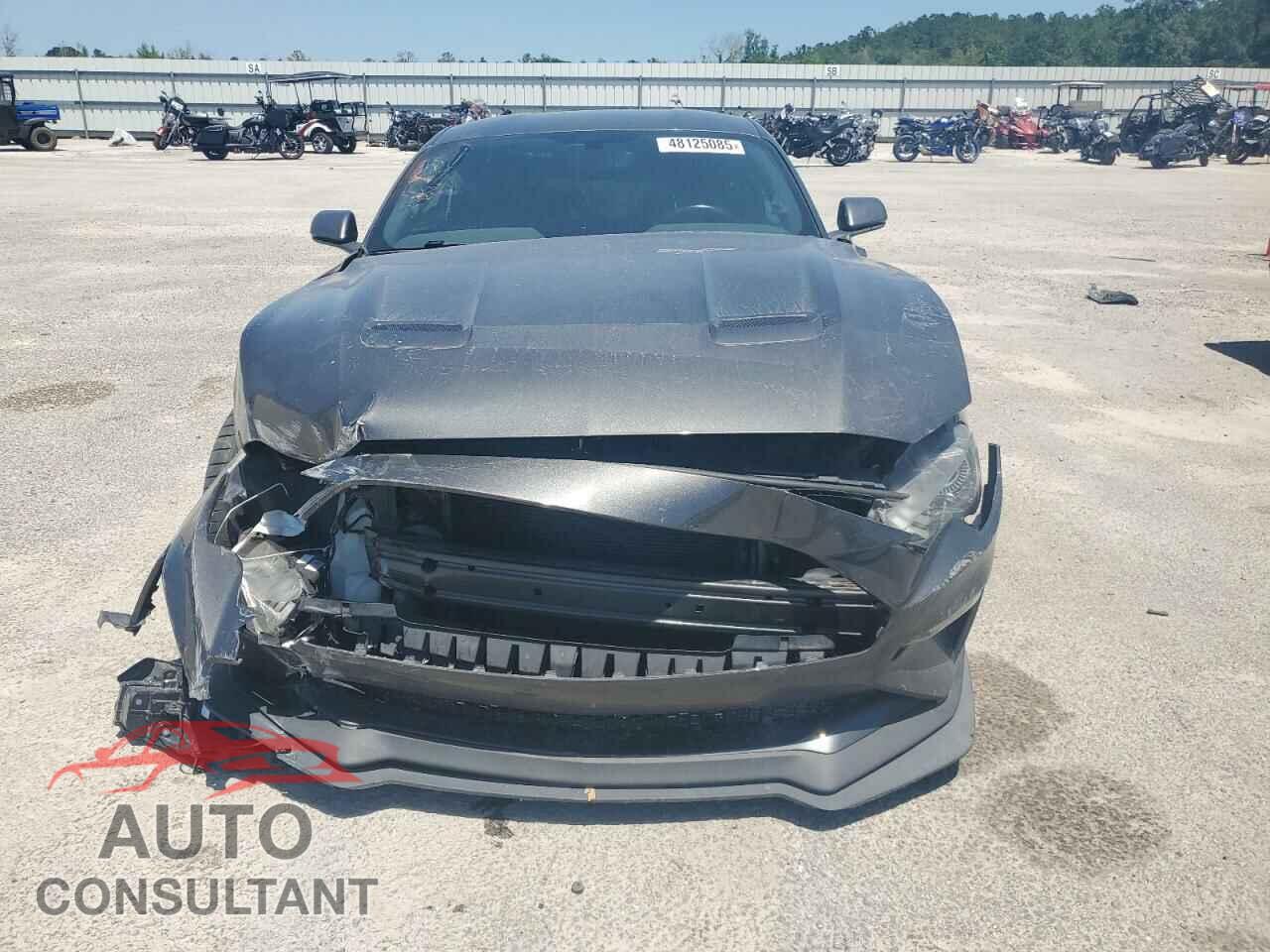 FORD MUSTANG 2019 - 1FA6P8CF4K5184455