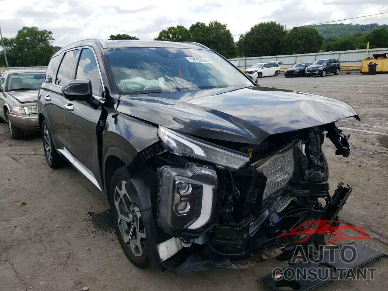 HYUNDAI PALISADE 2021 - KM8R7DHE1MU209252