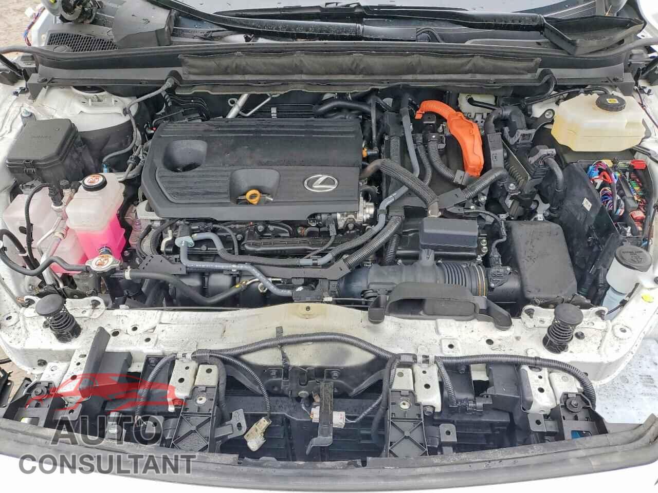 LEXUS UNKNOWN 2024 - 2T2BBMCA3RC030459