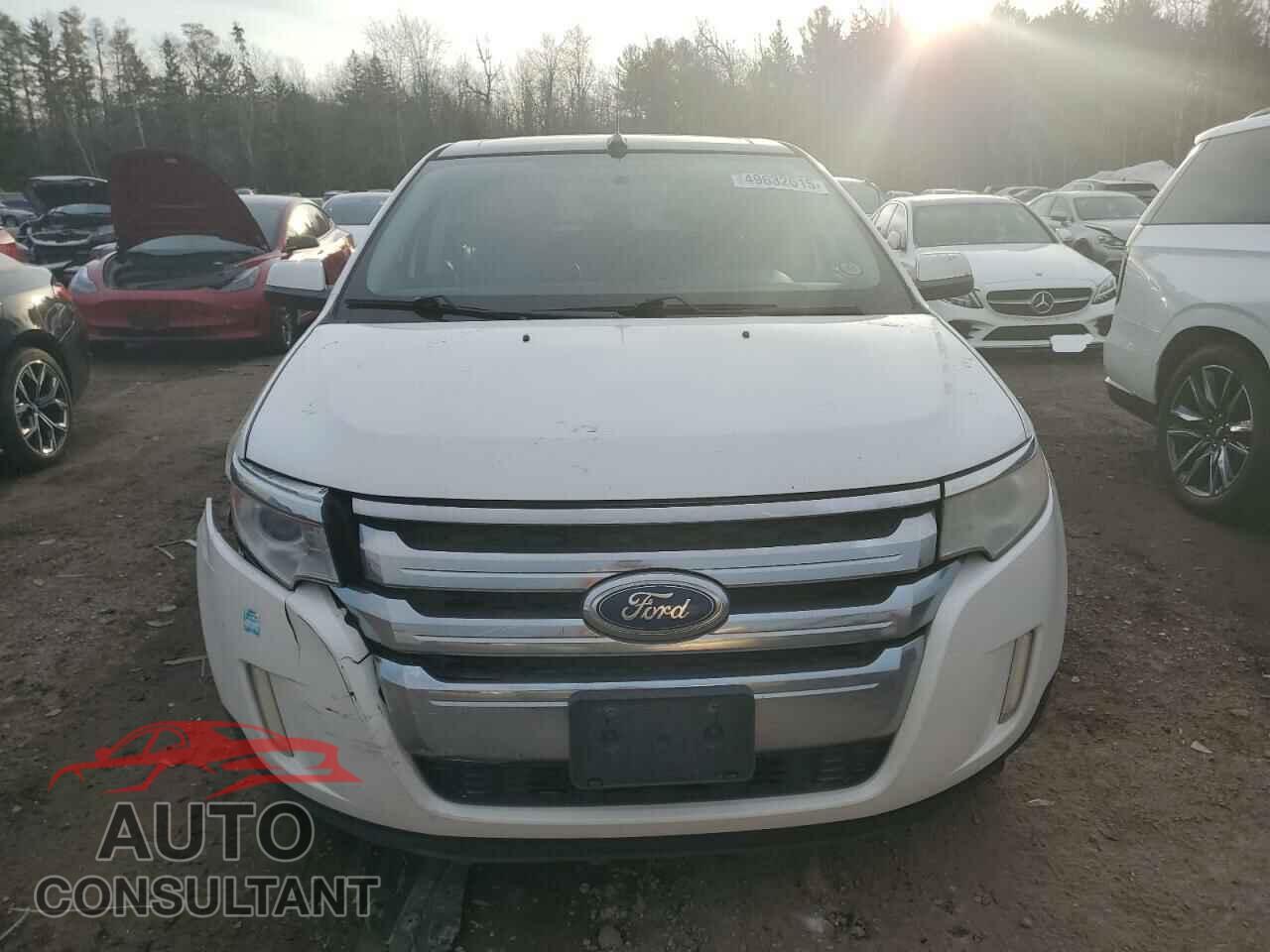 FORD EDGE 2011 - 2FMDK3JC0BBA89989
