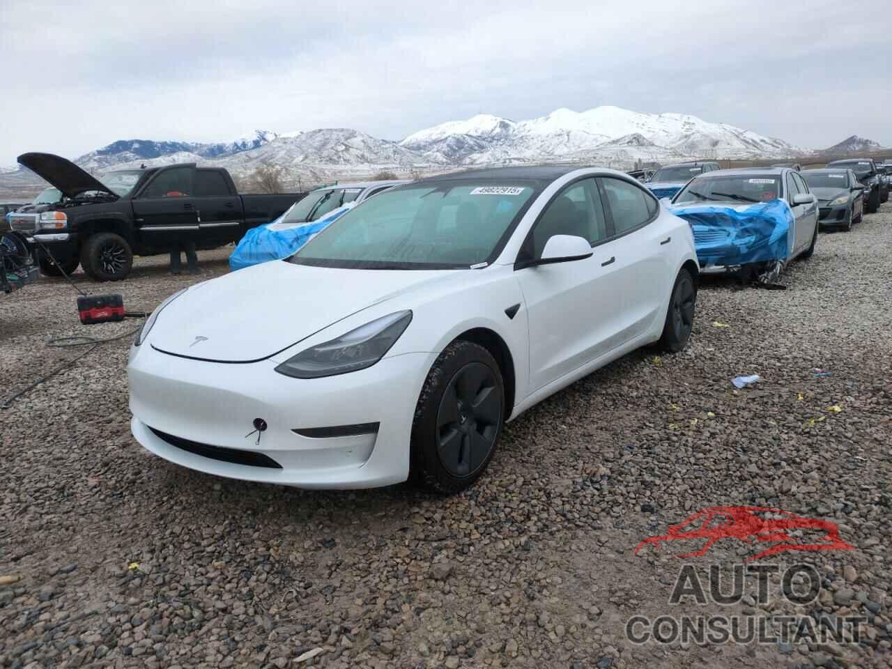 TESLA MODEL 3 2023 - 5YJ3E1EA2PF665029