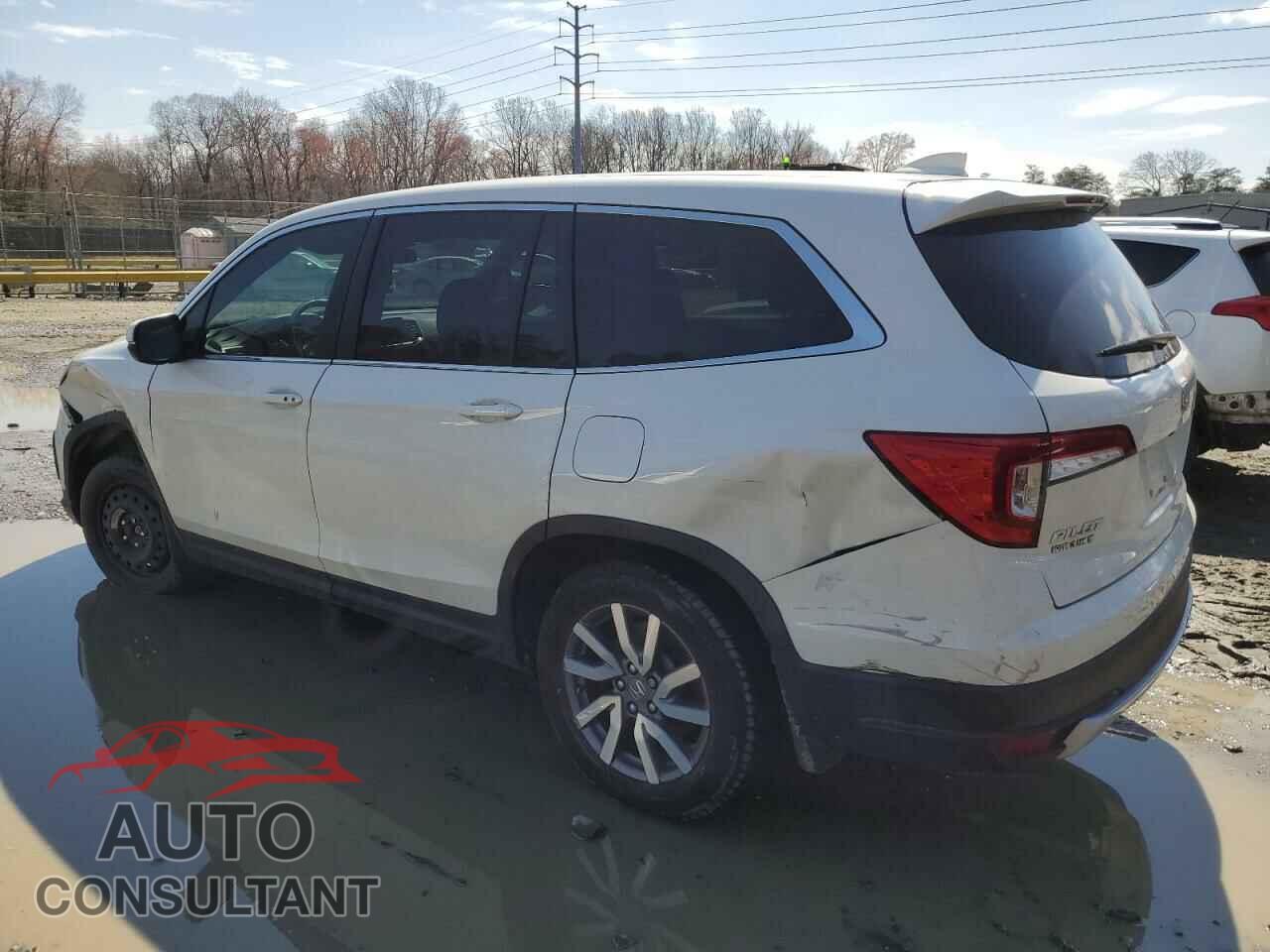 HONDA PILOT 2019 - 5FNYF5H36KB019797