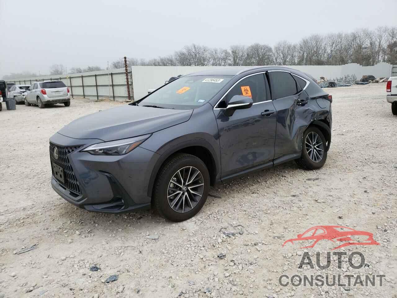 LEXUS NX 250 2023 - 2T2ADCAZ7PC003139