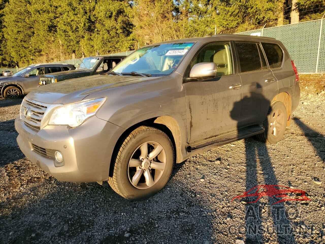 LEXUS GX 2010 - JTJBM7FX9A5013387