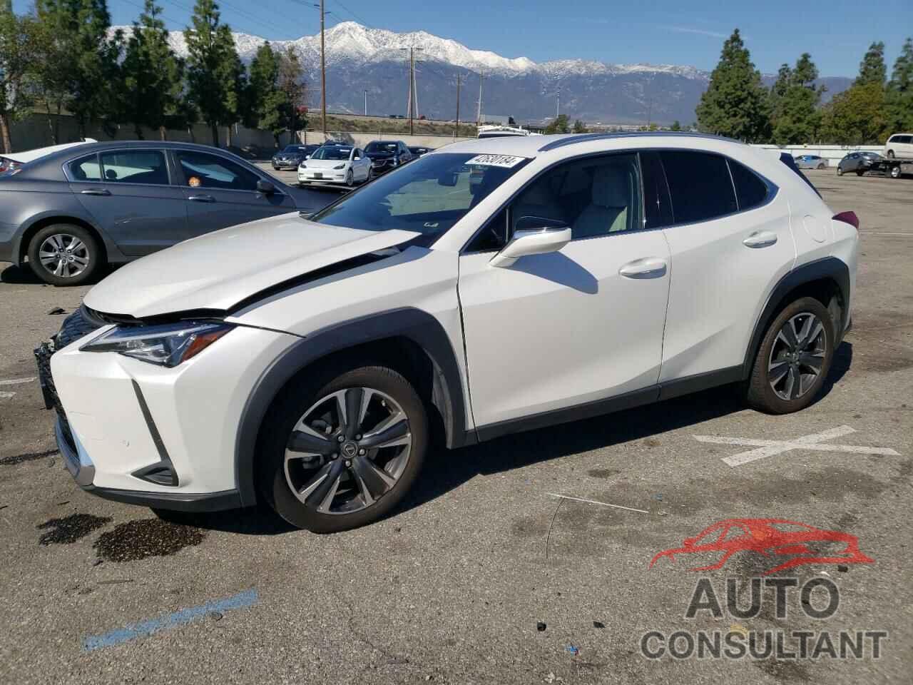 LEXUS UX 200 BAS 2022 - JTHX3JBH1N2050172