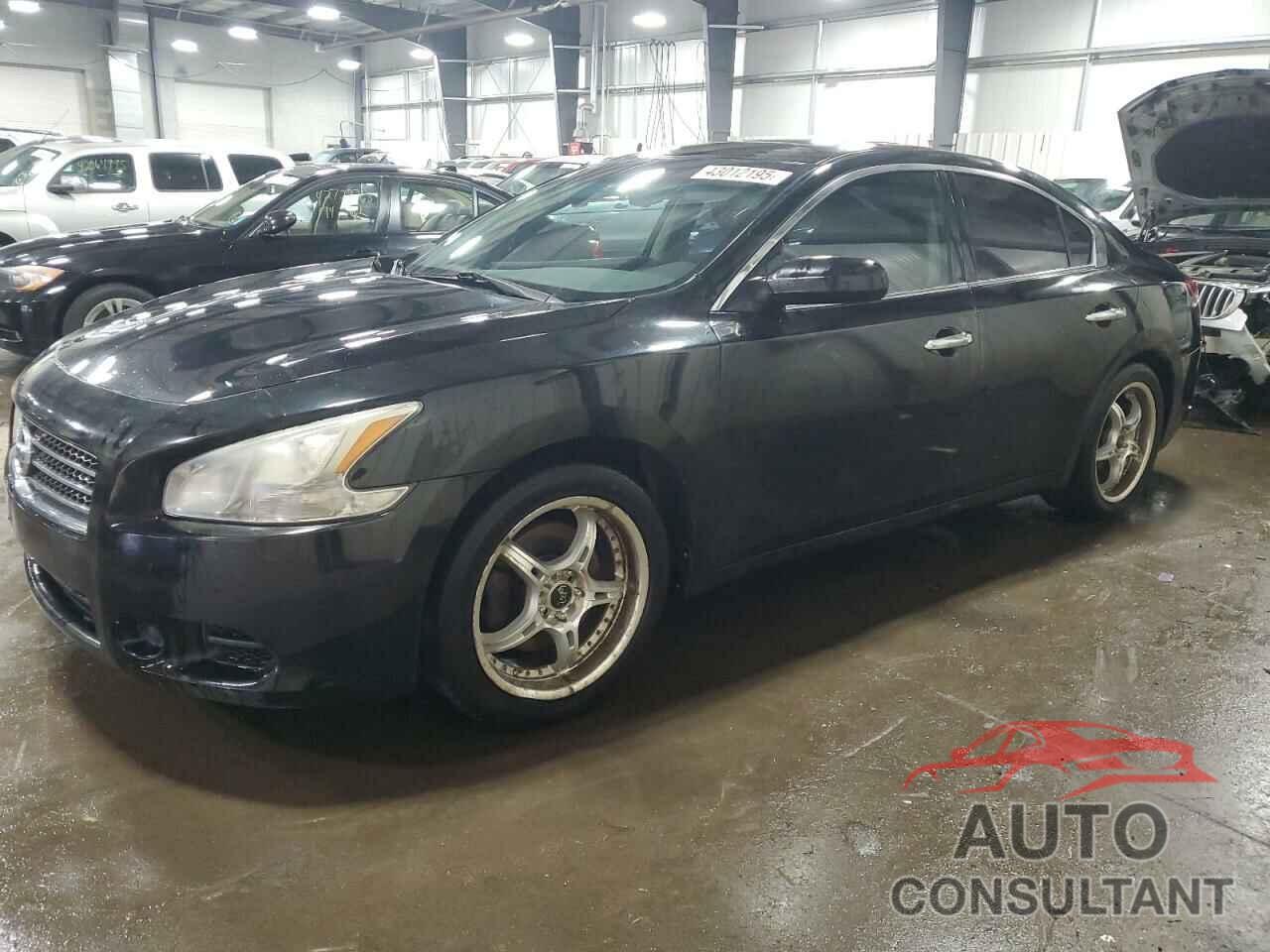 NISSAN MAXIMA 2010 - 1N4AA5AP0AC802807