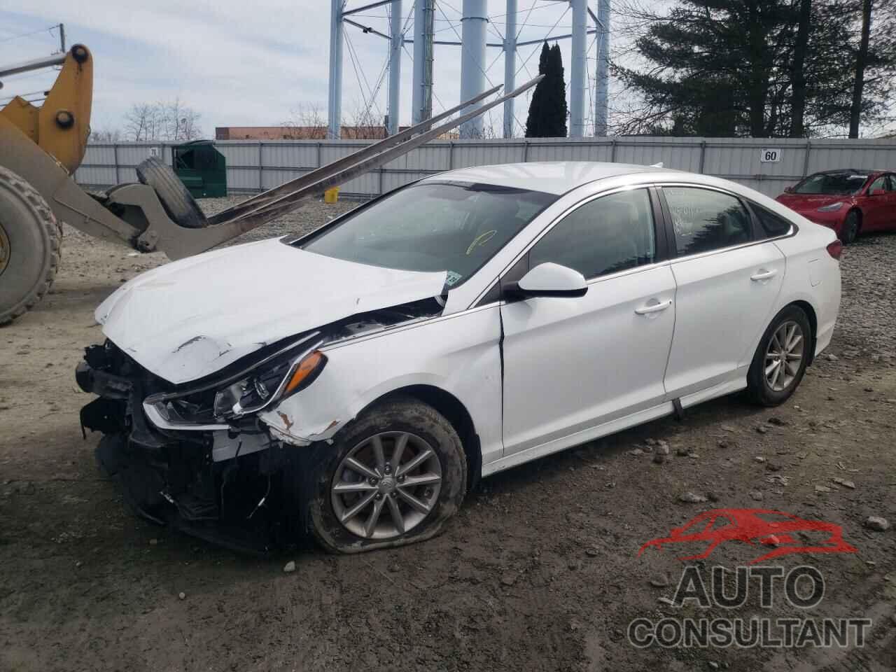 HYUNDAI SONATA 2019 - 5NPE24AF6KH811463