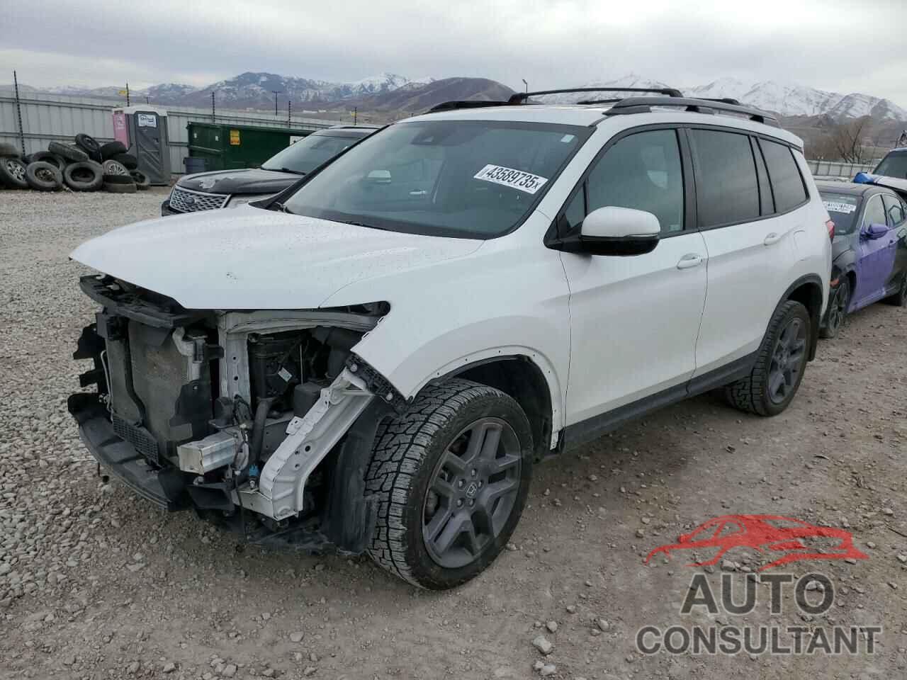 HONDA PASSPORT 2022 - 5FNYF8H5XNB019129